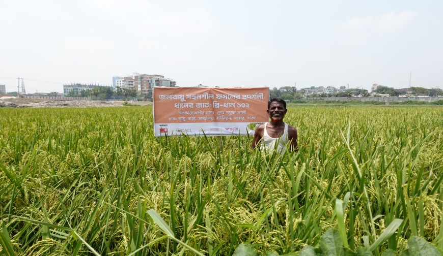 বন্যাপ্রবণ চর থেকে পুষ্টি বাগান: তারুণ্যের উদ্যমে বদলে যাচ্ছে সাভারের কৃষিচিত্র